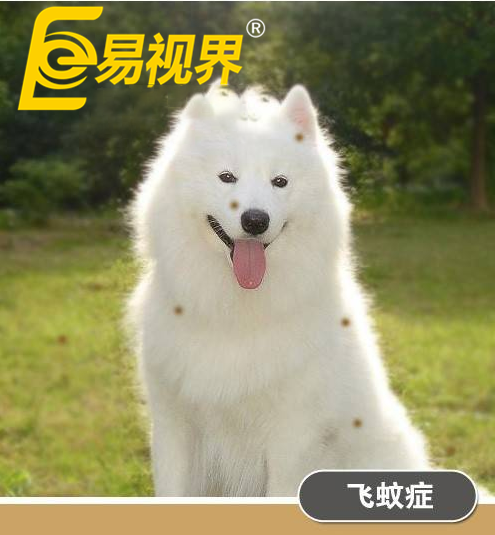 不一樣的眼病，不一樣的世界